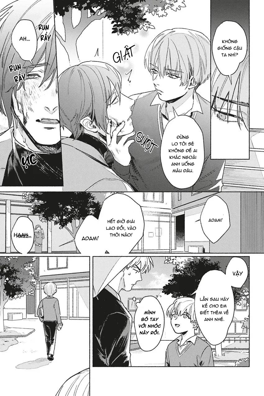 dòng máu bạch kim chapter 3 25