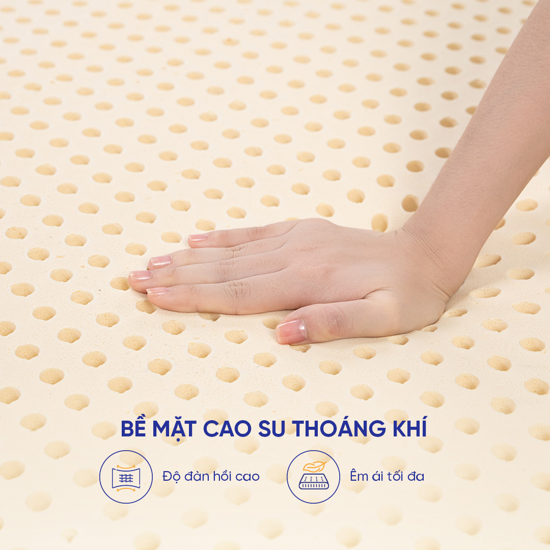 Nệm cao su foam giảm đau lưng Gummi Lite (NEW)