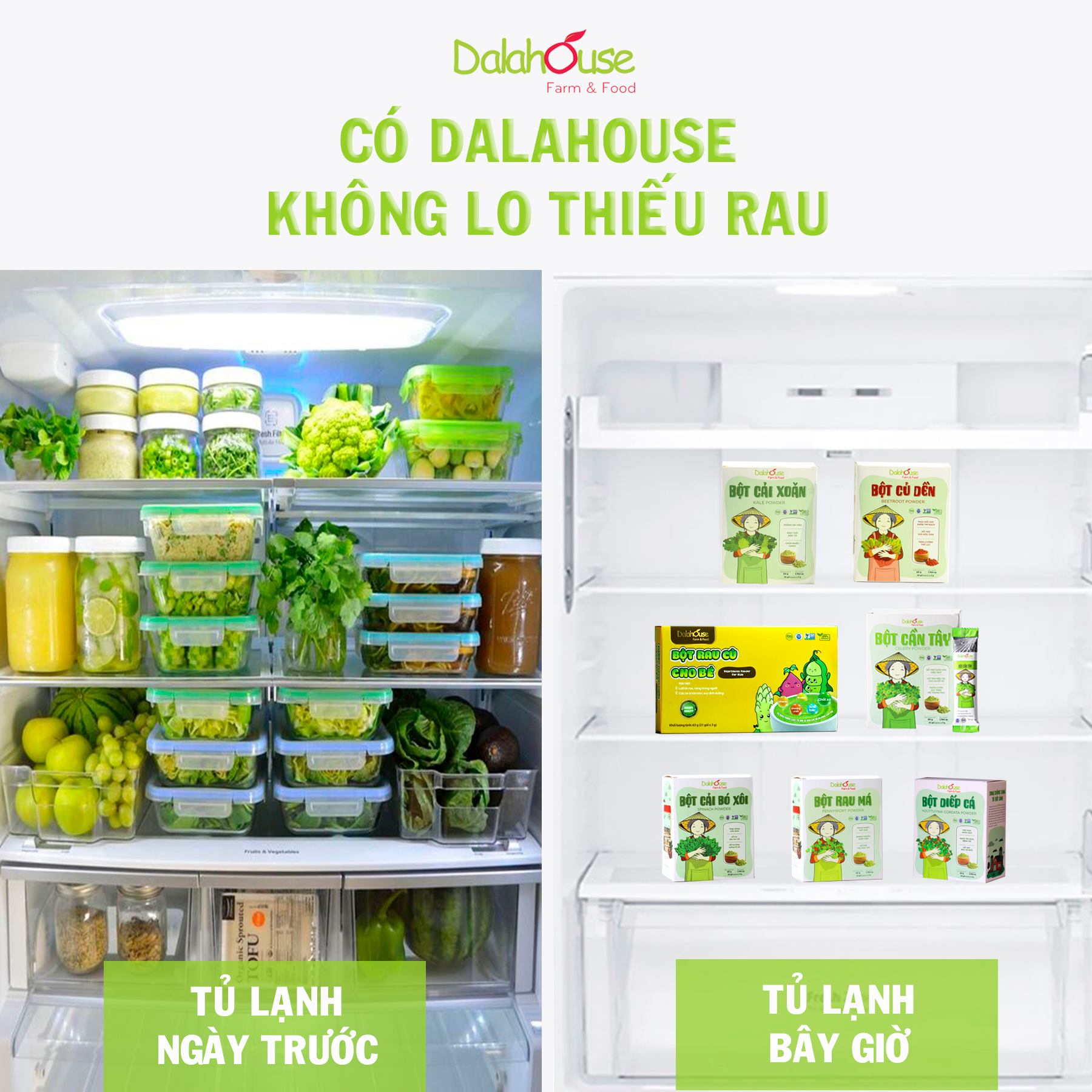 Bột rau sấy lạnh Dalahouse - Hộp 60gr 20 gói - NPP Thu Dương - Nguyên liệu hữu cơ USDA/CE, công nghệ sấy lạnh chuẩn Châu Âu giữ lại 95% dưỡng chất từ rau tươi