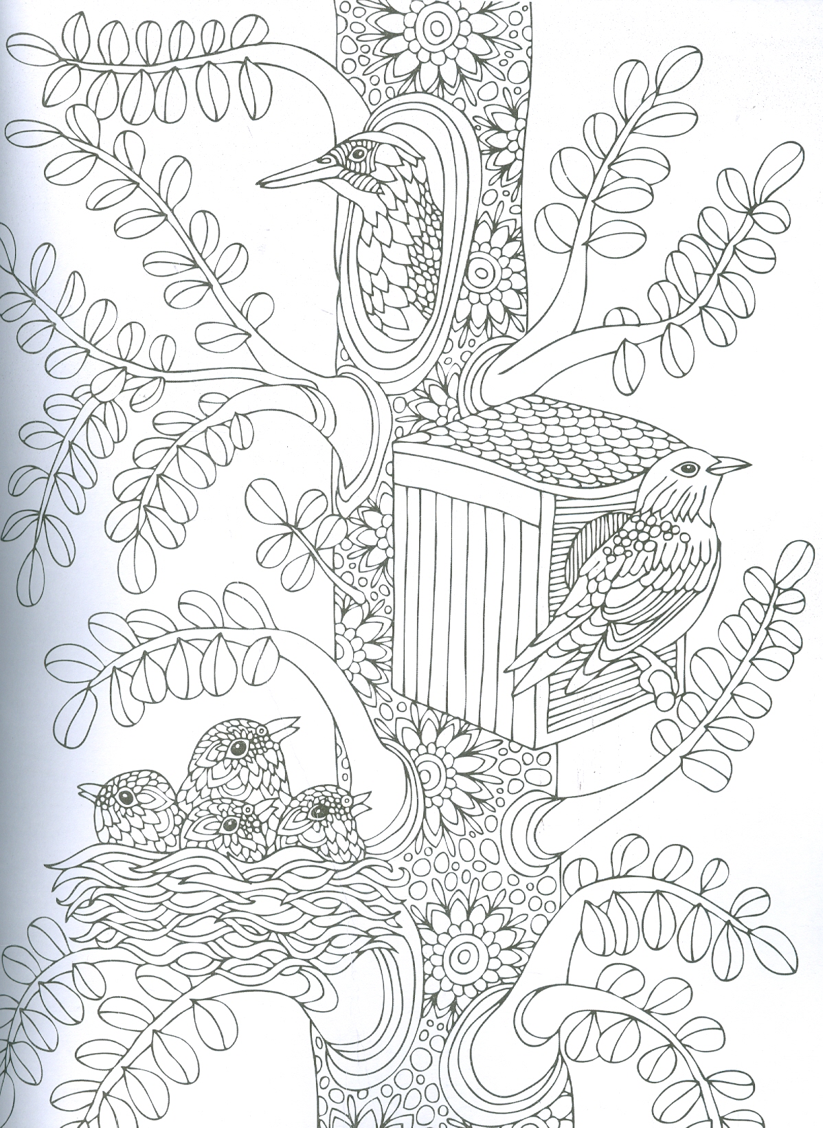 Nature - Adults Colouring Book (Sách tô màu dành cho người lớn: Thiên Nhiên)