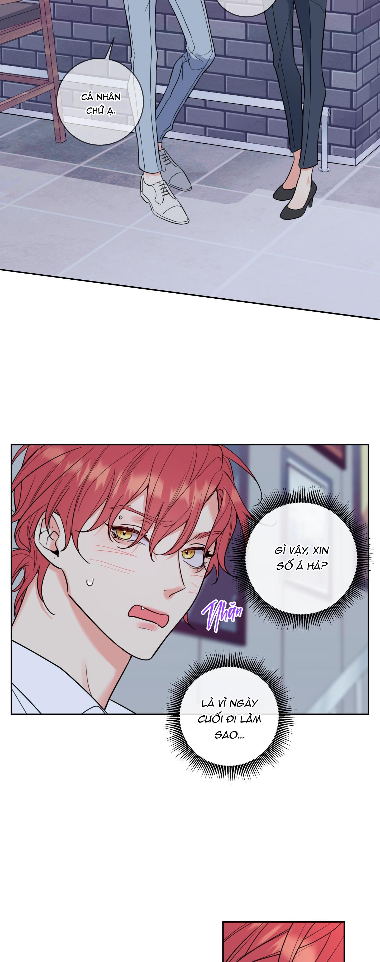 mật ong nhà làm chapter 14 26