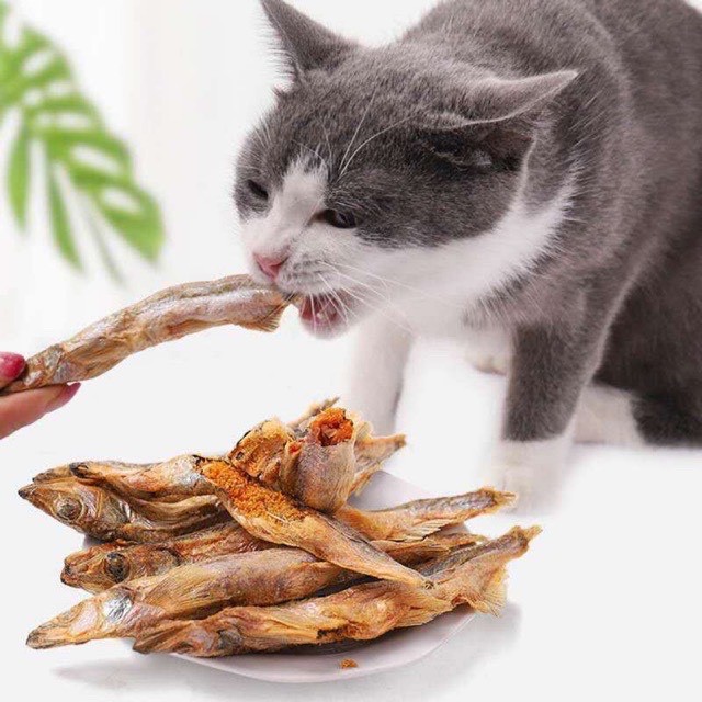 Thịt sấy khô, Topping Tổng Hợp cho chó mèo , Hỗ trợ chế độ ăn uống tăng cân cho boss