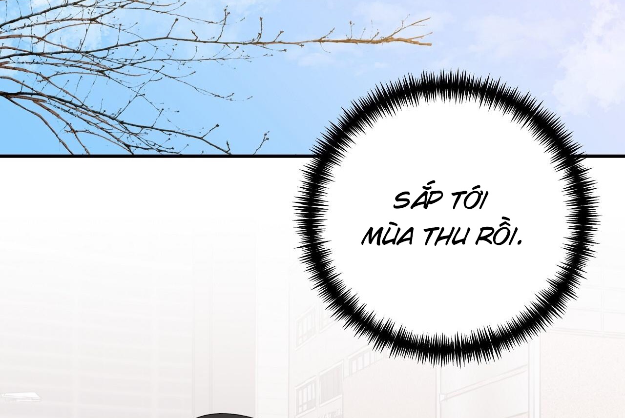 vị ngọt đôi môi chapter 51 66