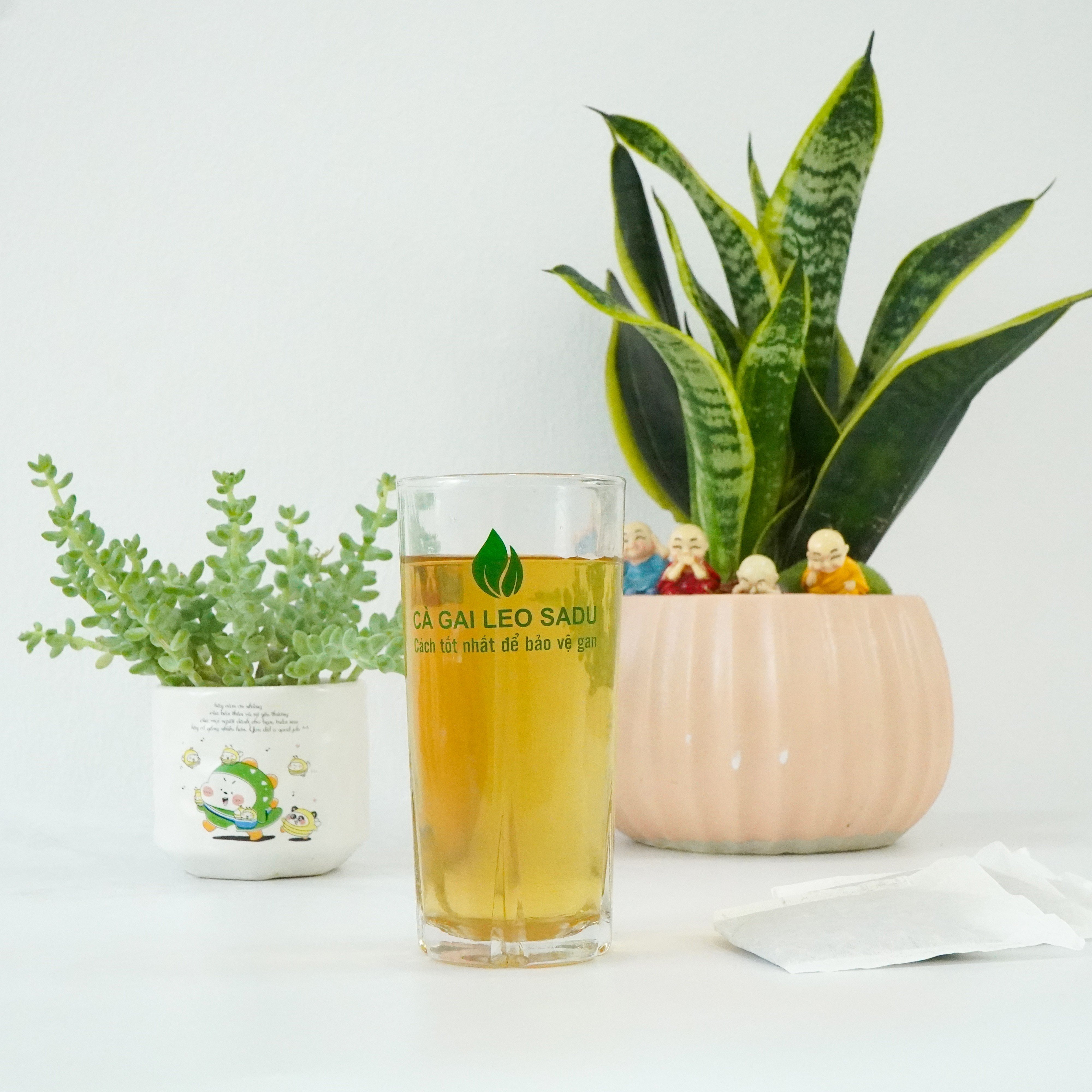 Trà túi lọc cà gai leo lá ổi Sadu gói 250g