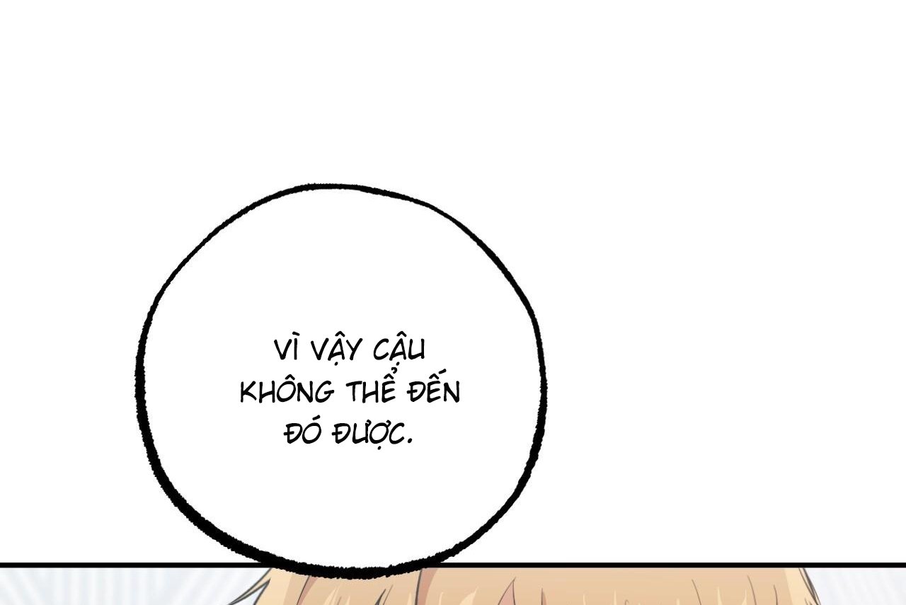 những chú thỏ của hapypy chapter 61 59