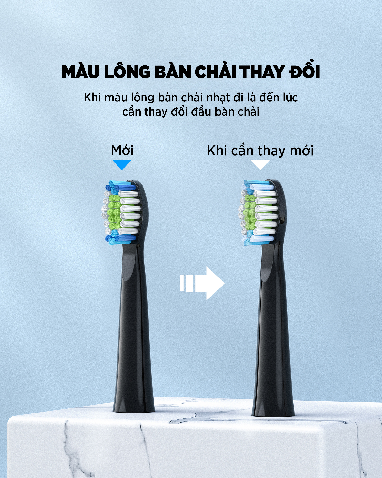 Bàn chải đánh răng điện FAIRYWILL E11 chính hãng Mỹ Công nghệ làm sạch bằng sóng siêu âm 8 đầu thay thế Hàng Chính Hãng