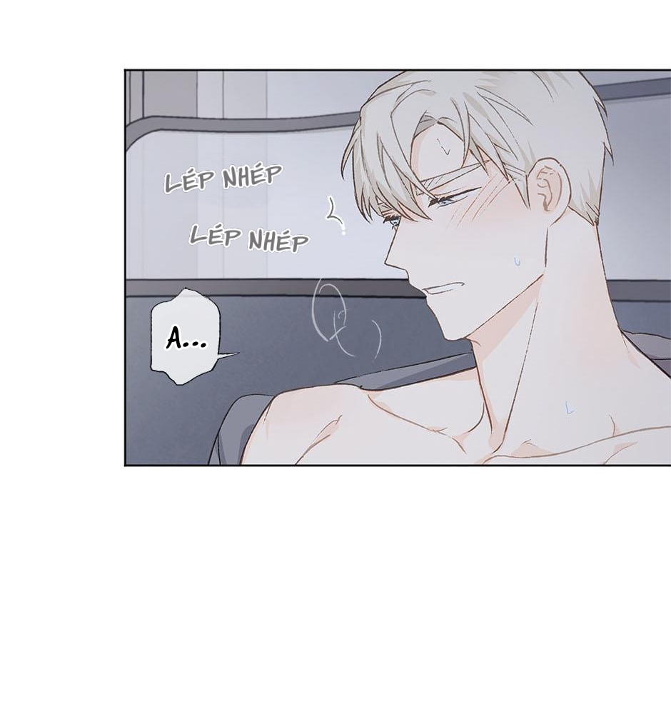 yêu hay không yêu chapter 12 56