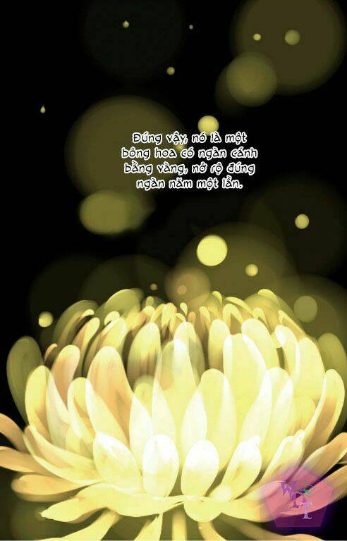 một ngàn cánh hoa chapter 0 5