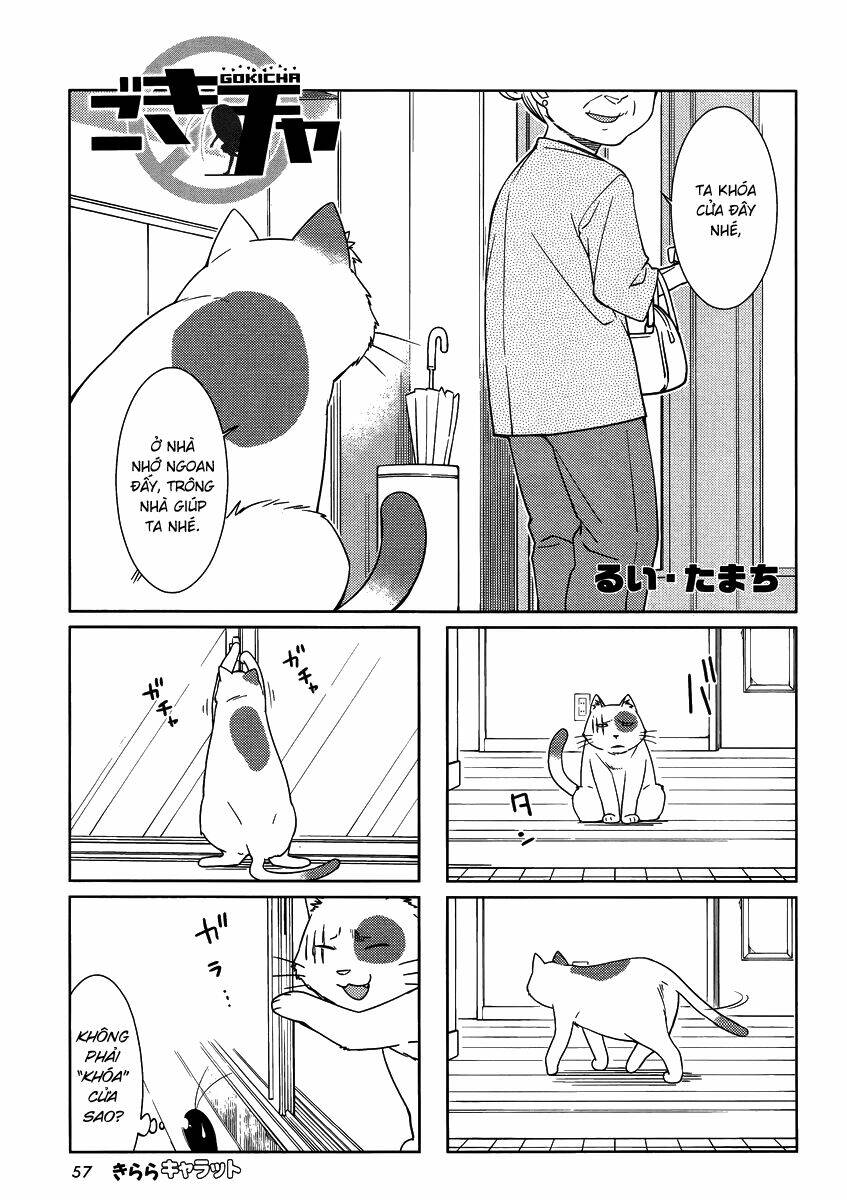 gokiburi gijinka - bé gián moe chapter 37 2