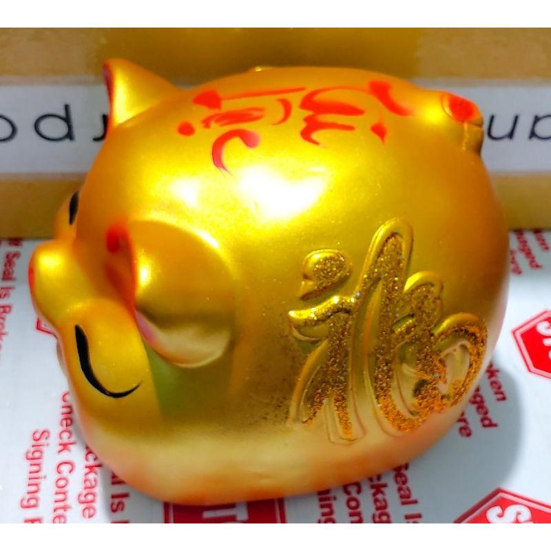Heo đất mắt híp, lợn đất mắt híp