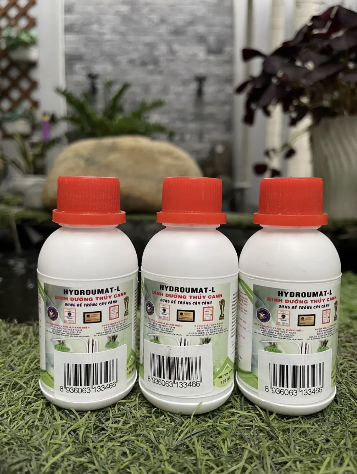 Dinh dưỡng thủy canh cây cảnh chai 100 ml