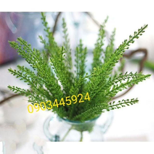 Cành điểm thông dày dặn loại 1- cây giả