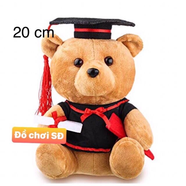 Thú bông gấu tốt nghiệp 20cm - tặng túi gói quà và nơ