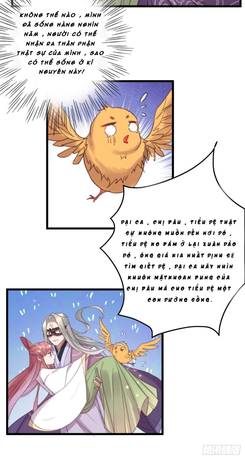 đế tôn cuồng sủng: thần y đặc công phế tài phi chapter 12 4