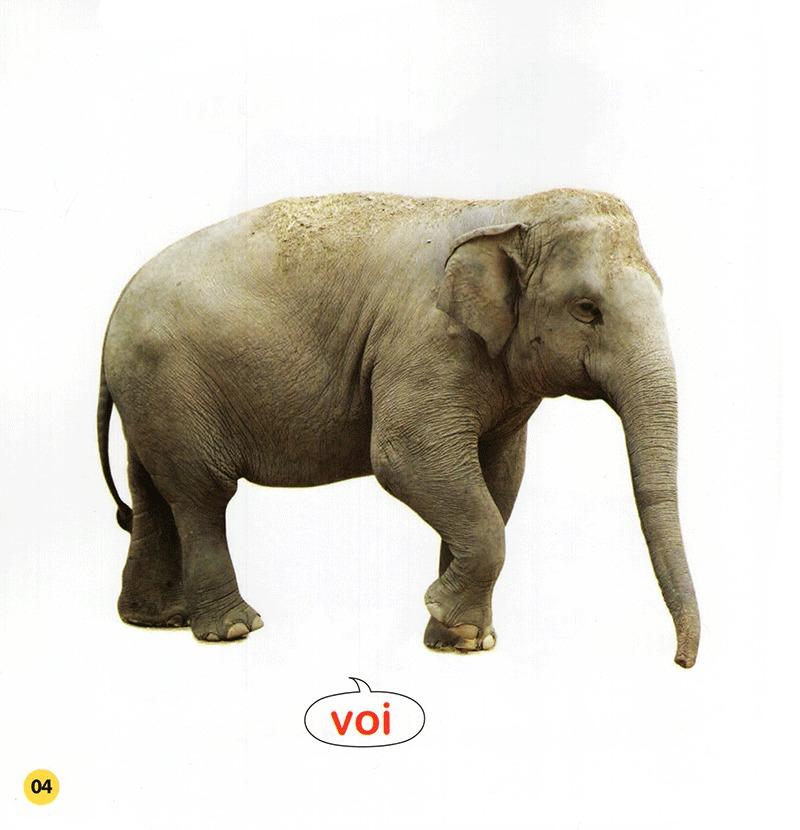 100 Từ Đầu Đời Của Bé: Con Vật (Tái Bản 2023)