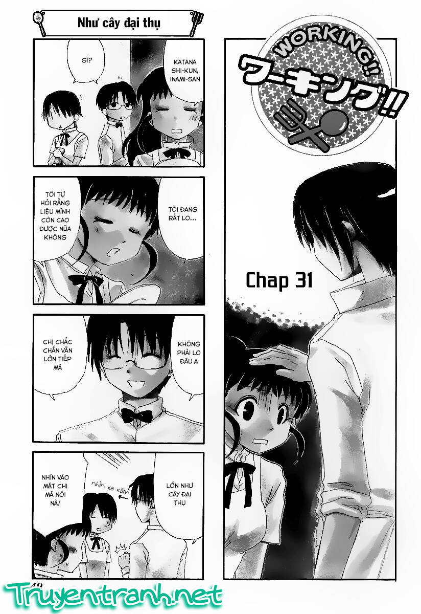 pj working chapter 31 2