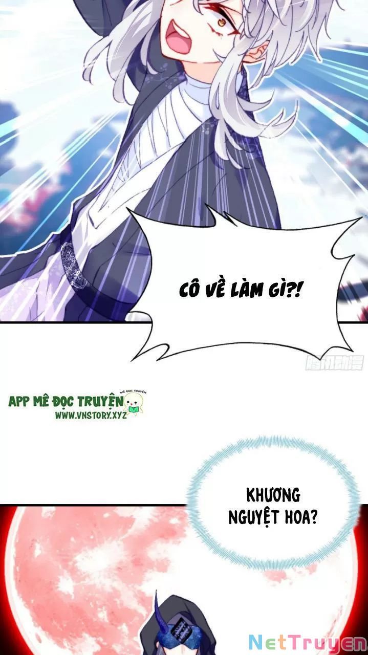 lại bị bệnh chiều chuộng quấn lấy chapter 23 41