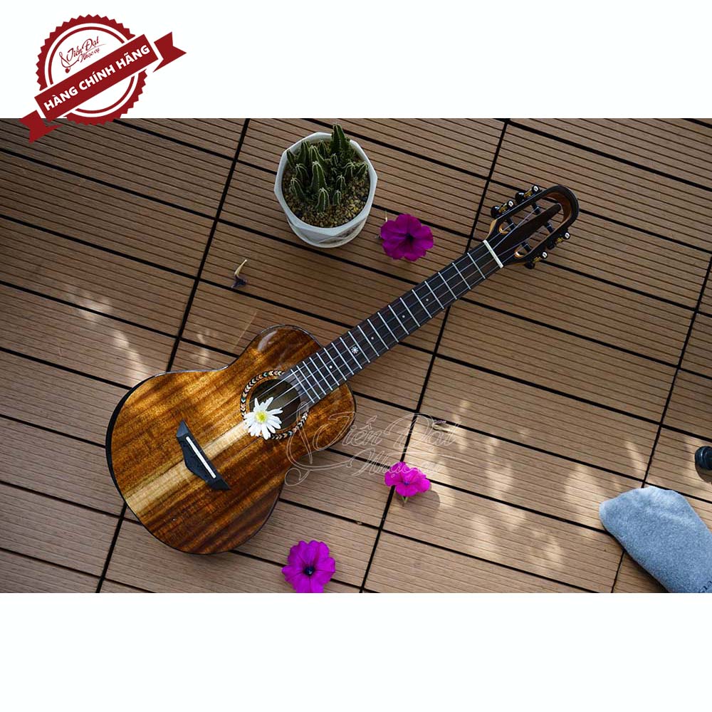 Đàn Ukulele Concert SQOE SQ UK-2420C, Gỗ KOA Nguyên Tấm Cao Cấp, Kèm Quà Tặng - Hàng Chính Hãng