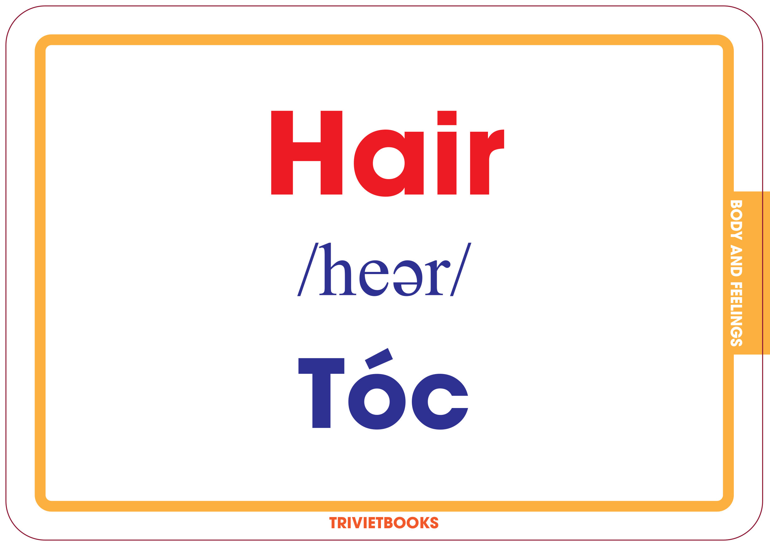 Bộ Thẻ Học Thông Minh Cho Bé - Flashcard Song Ngữ - Cơ thể và cảm xúc - Body and feelings - Trí Việt