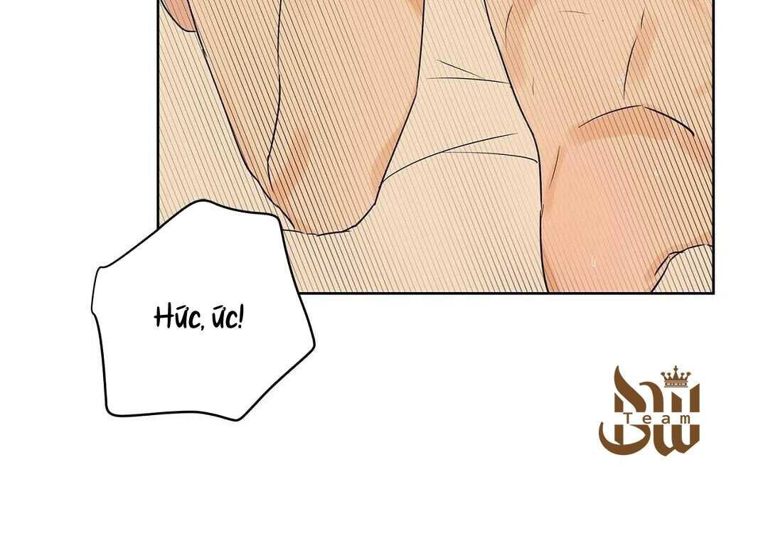 guide cấp b chapter 38 75