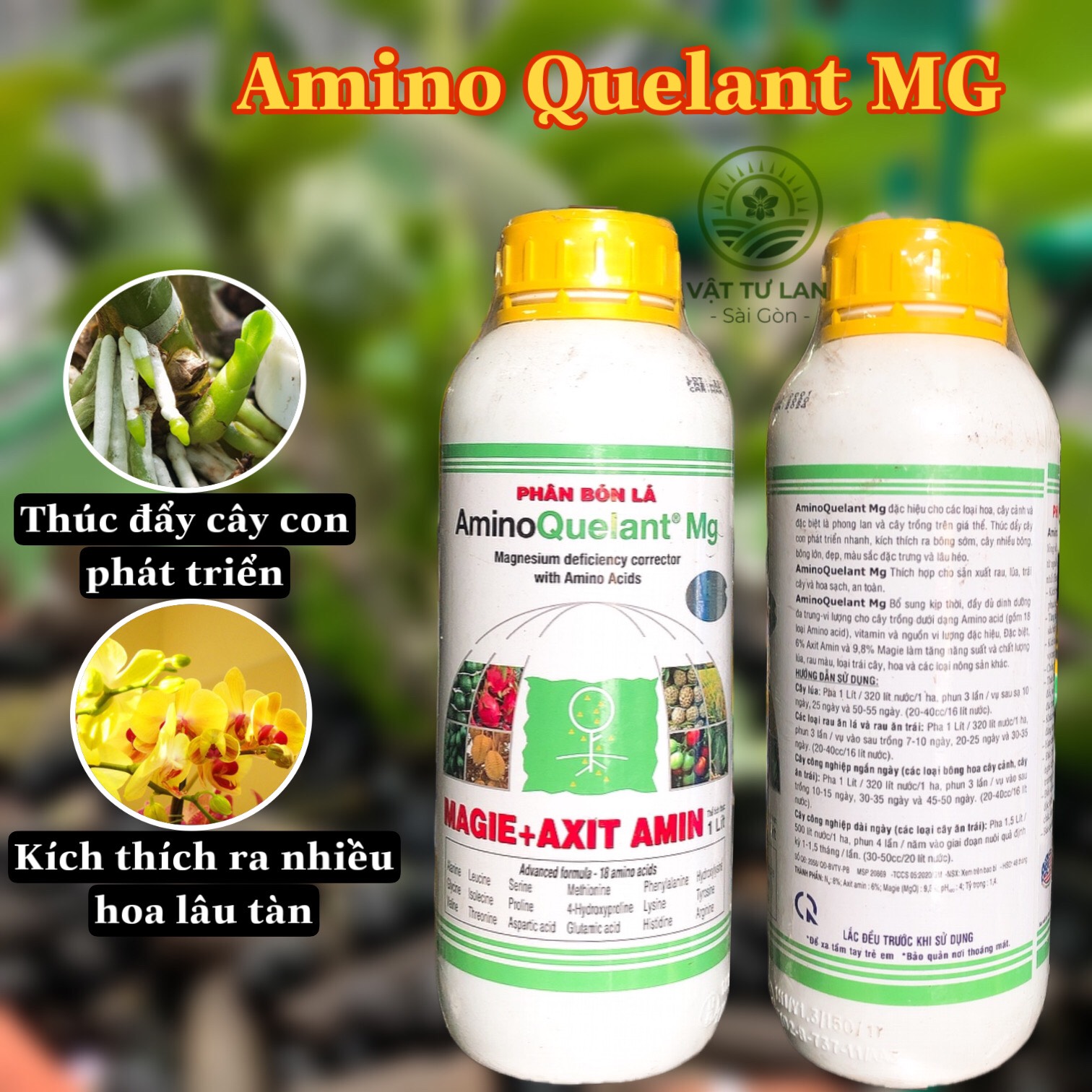 AMINI QUELANT MG - PHÂN BÓN LÁ - 1 LÍT