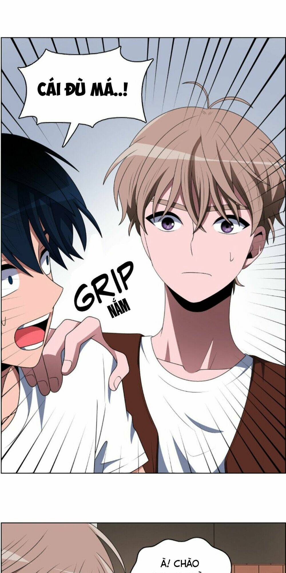 no scope chapter 44 28