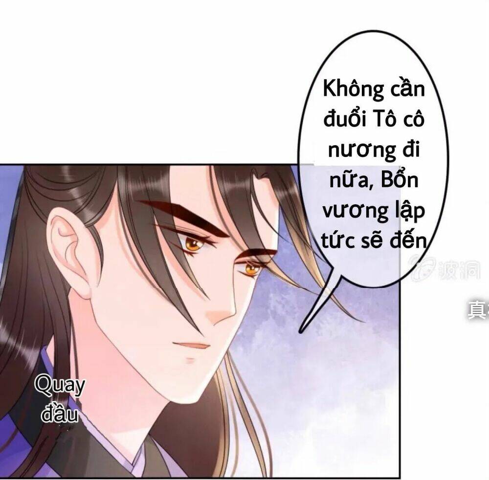 sủng phi của vương chapter 44.3 20