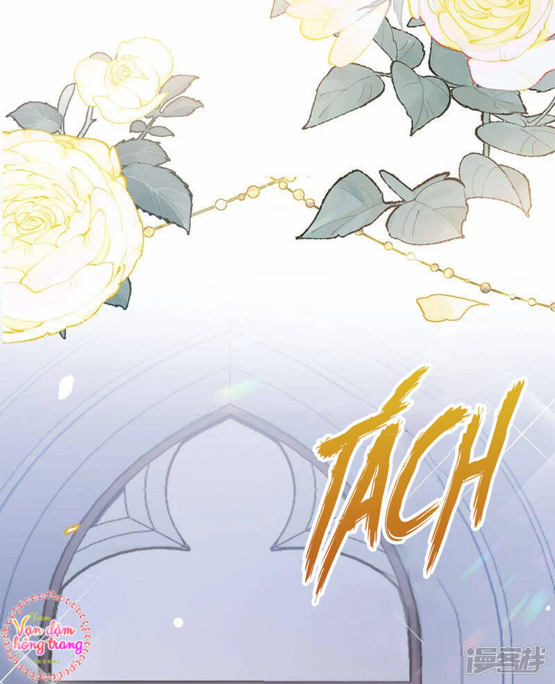 cô ấy đến rồi, xin nằm xuống! chapter 205 20