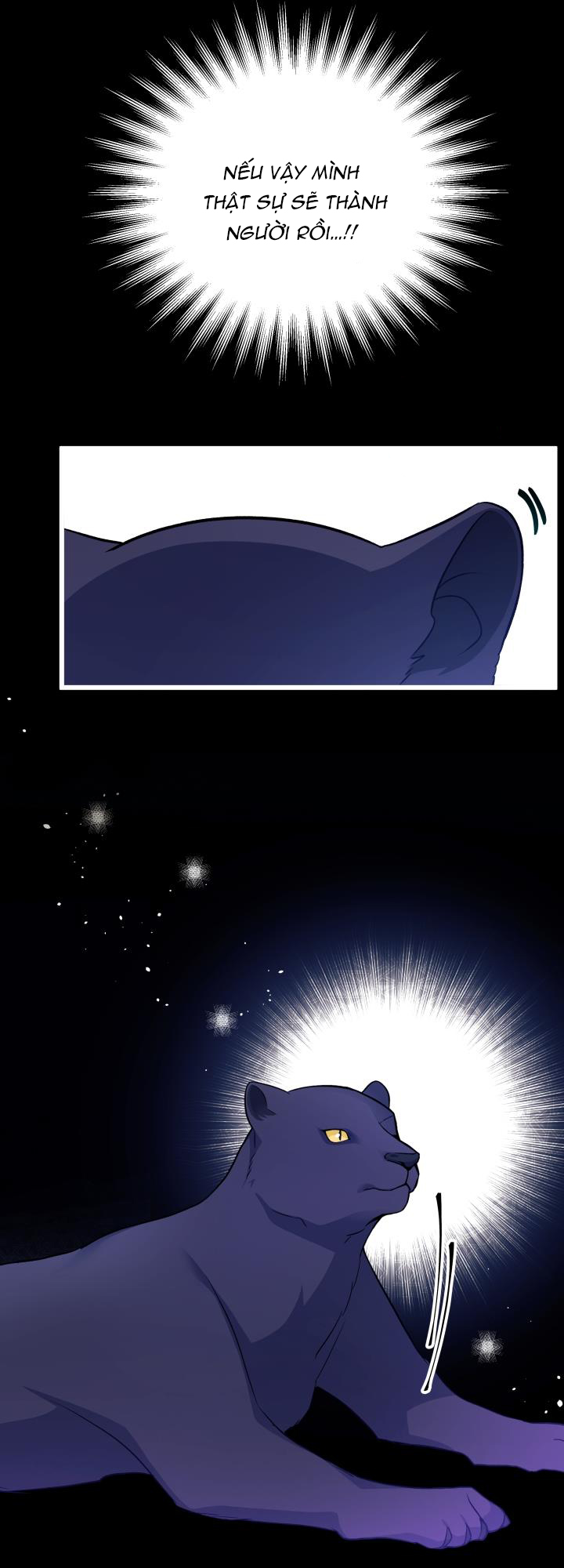 mối liên kết giữa báo đen và bé thỏ chapter 27 52