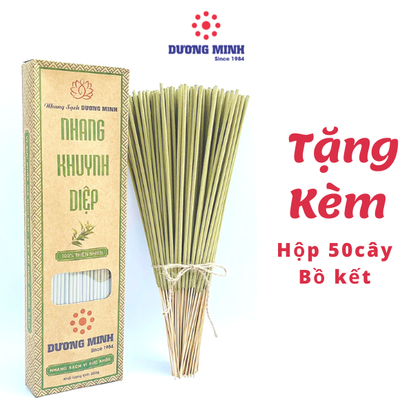 Nhang Khuynh Diệp Dương Minh 180cây nhang sạch 30cm 100% thành phần tự nhiên nhang thơm an toàn không hóa chất - nhang cây hương organic