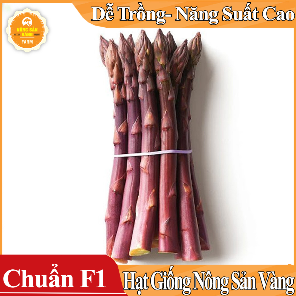 Hạt giống Măng Tây Tím - Nông Sản Vàng