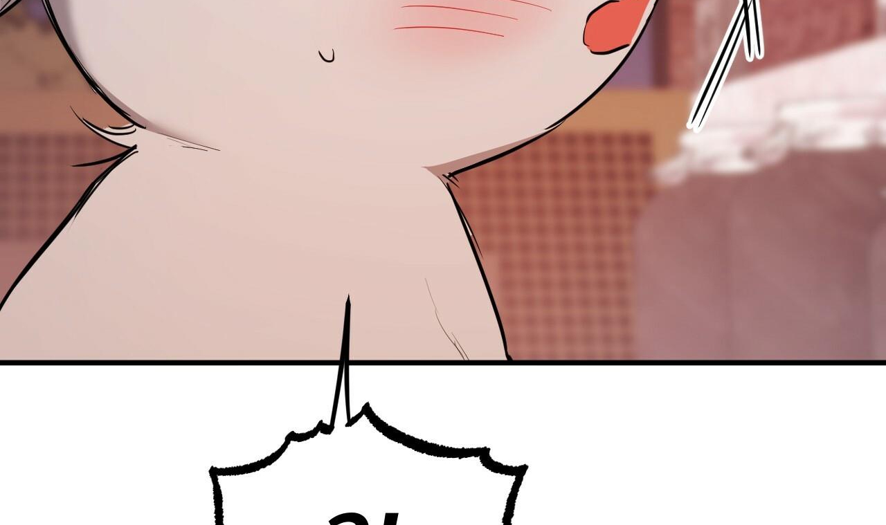 đàn thỏ của habibi chapter 37 155