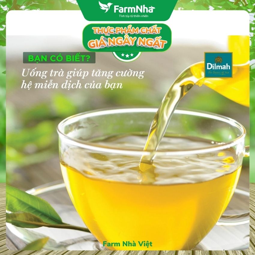 Trà Dilmah Orange & Ginger Vị Cam Gừng túi lọc 30g 20 túi x 1.5g - Tinh hoa trà Sri Lanka