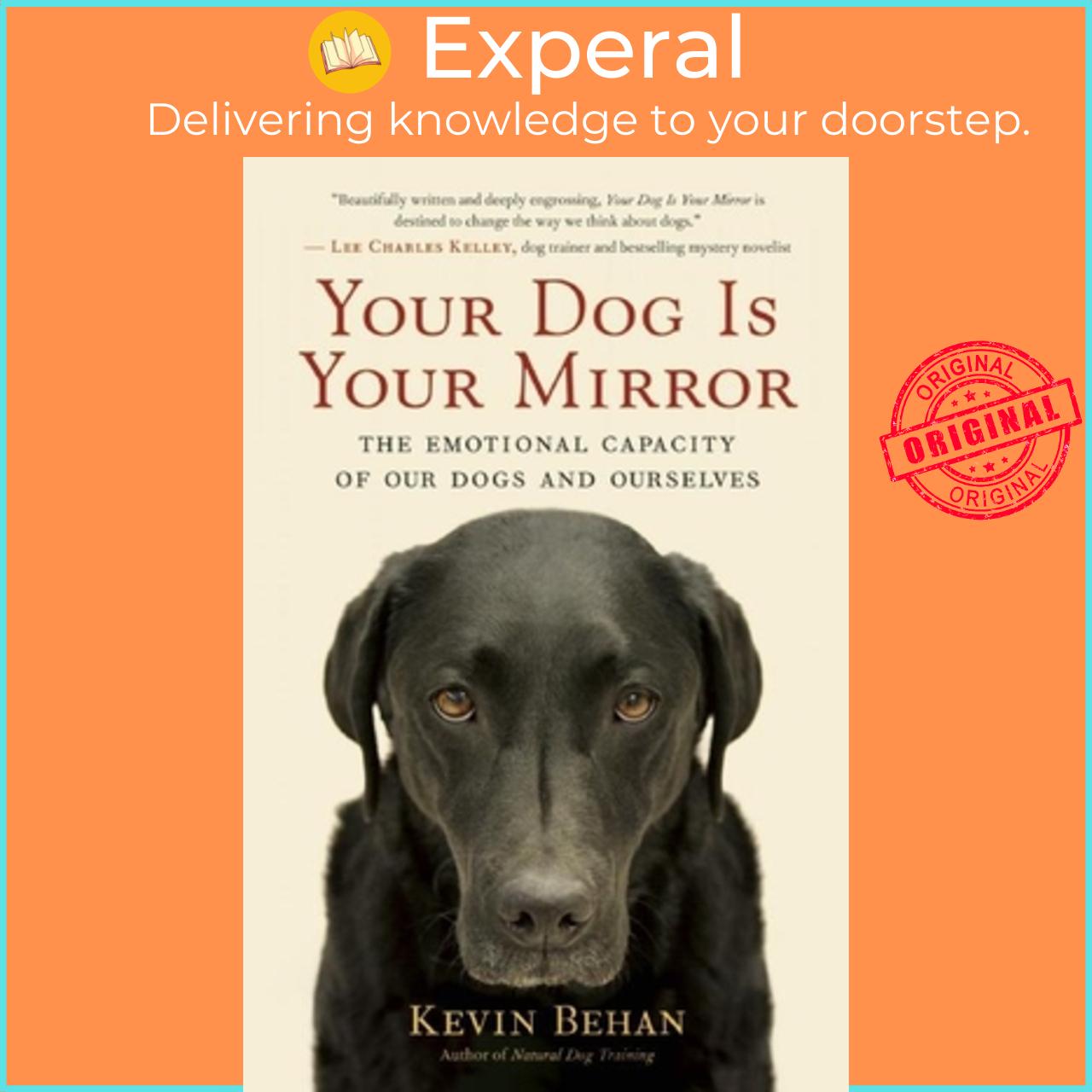 Sách - Your Dog Is Your Mirror - The Emotional Capacity of Our Dogs and Ourselves by Kevin Behan