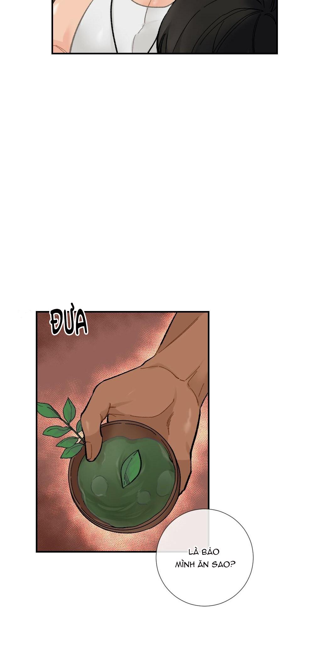 chăm sóc chapter 5 16