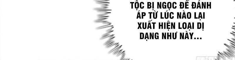 khởi đầu bằng một con côn chapter 141 9