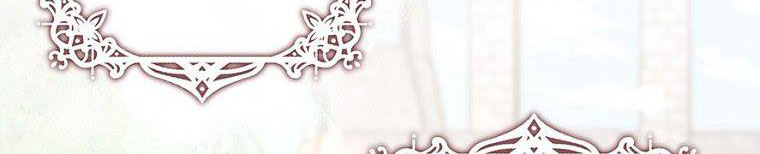 tôi sẽ cố gắng bảo vệ em gái chapter 26 251