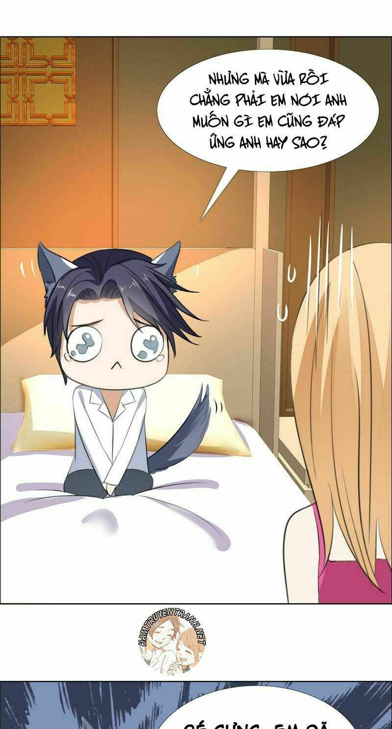 độc sủng kiều thê của bá đạo tổng tài chapter 55 15