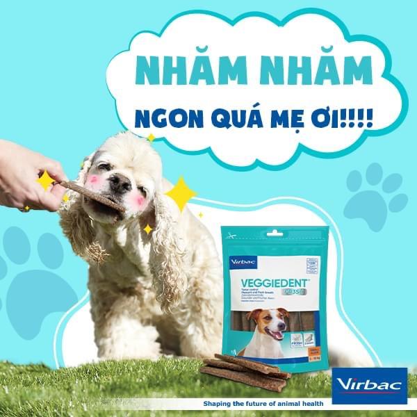 1 thùng (10 gói) Veggiedent sạch răng, thơm miệng, giảm cao răng cho chó (Virbac)