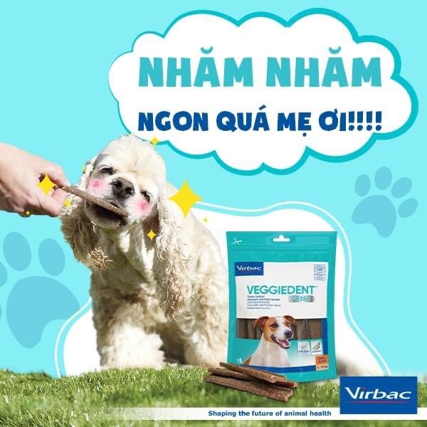 1 thùng Veggiedent sạch răng, thơm miệng, giảm cao răng cho chó