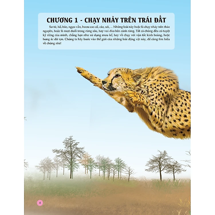 Sách Bách Khoa Toàn Thư Tìm Hiểu Về Trái Đất - ảnh 5