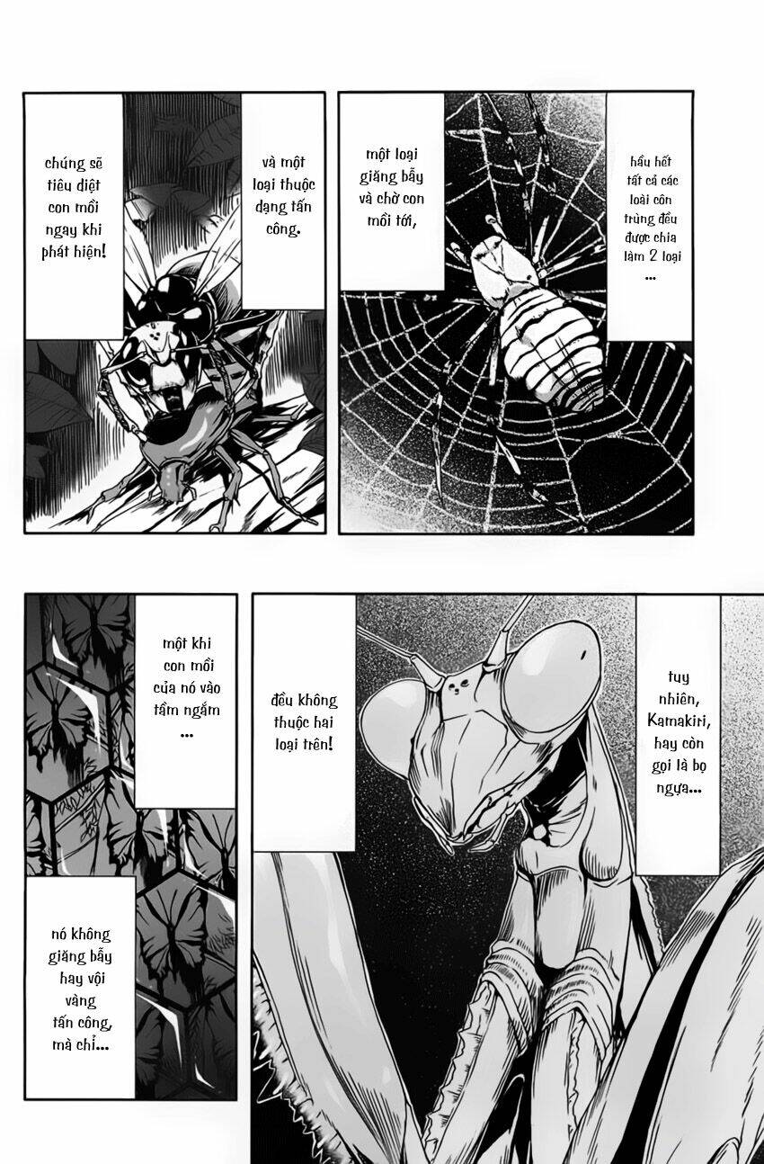 arachnid chapter 6 35
