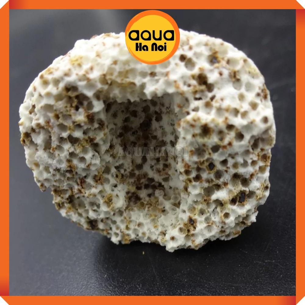 Sứ bi muối tiêu - Vật liệu lọc làm trong nước hồ cá Koi, cá rồng, thủy sinh - 100g/500g