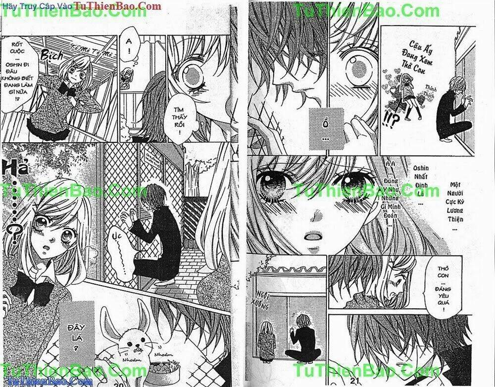 chàng sói dễ thương chapter 1 11