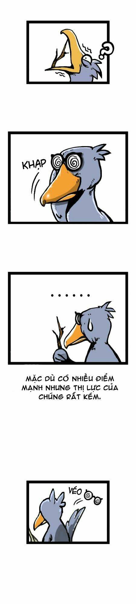 earth, human, and animal chapter 14 17