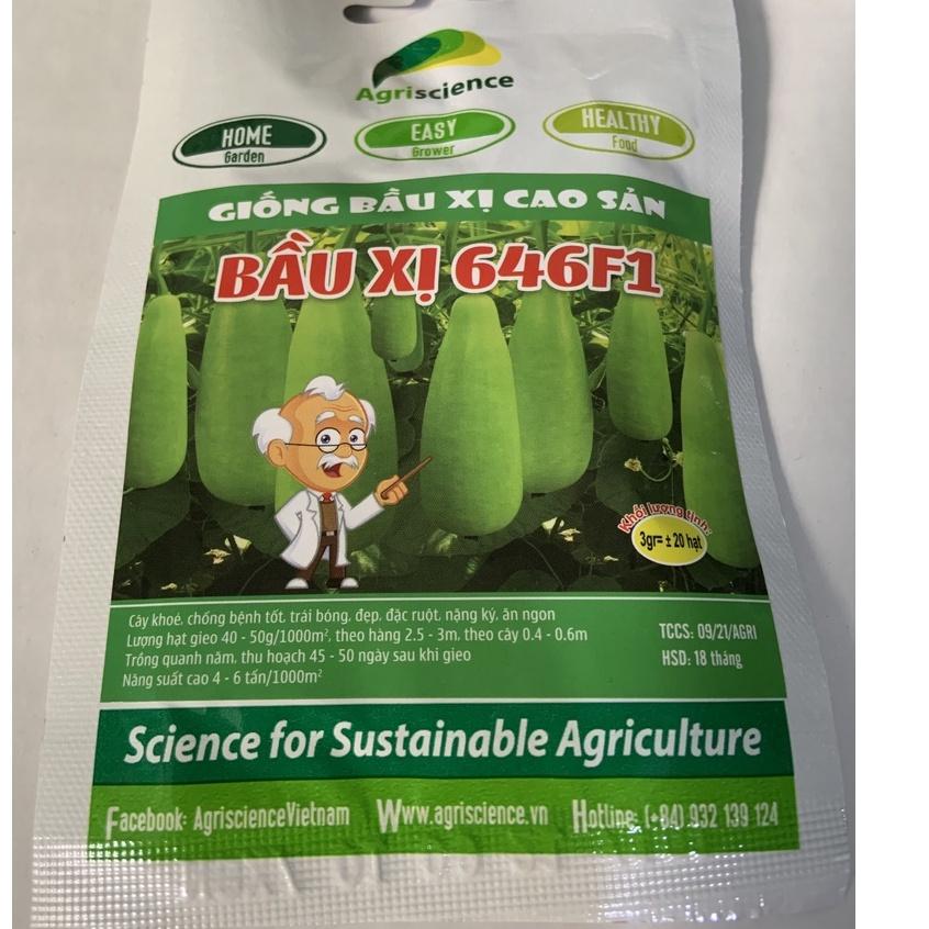 Hạt Giống Bầu Xị Cao Sản - 646F1 - )