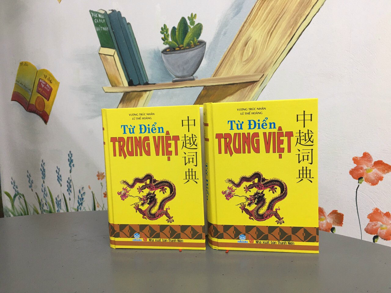 NDB - Từ điển Trung việt