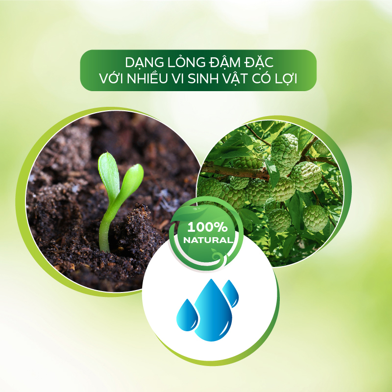 Nano Bạc diệt khuẩn sát khuẩn diệt nấm, rửa vườn, tẩy sạch rong rêu, kháng virus – Nano Bạc AT đậm đặc 500ml