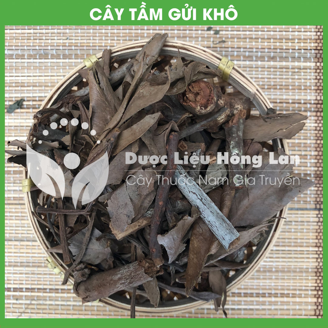 Cây Tầm Gửi Khô sạch đóng gói 500gram