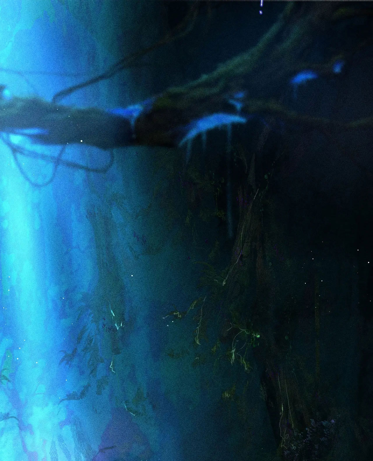 cây nấm nhỏ chapter 2 24